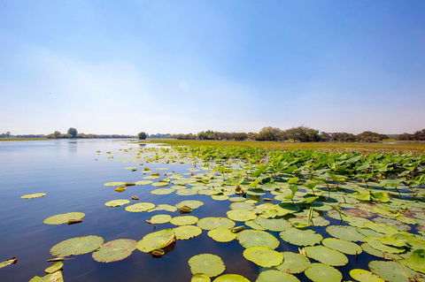 Jumping Crocs & Nature Adventure Cruise From Darwin - Accommodation BNB 8