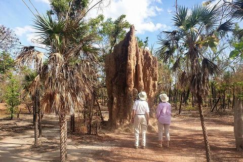 ETHICAL ADVENTURES - Dry Season Litchfield Region, Max 10 Guests - Accommodation BNB 9