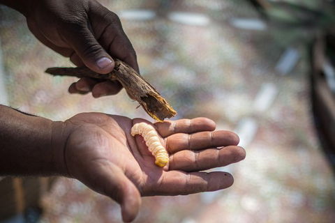 Karrke Aboriginal Cultural Experience - Accommodation BNB 4