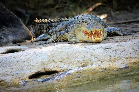 Ethical Adventures - Kakadu 2 Day- Max 10 Guests - Accommodation BNB 3