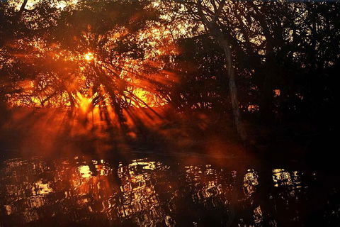 Ethical Adventures - Kakadu 2 Day- Max 10 Guests - Accommodation BNB 5