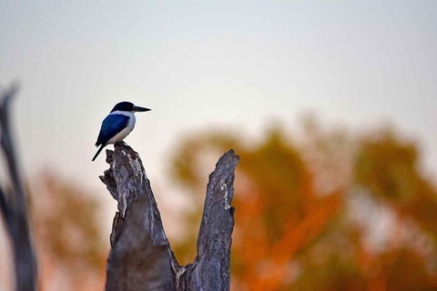 Ethical Adventures - Kakadu 2 Day- Max 10 Guests - Accommodation BNB 4