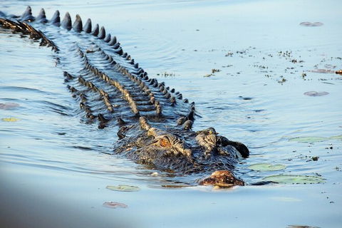 Ethical Adventures - Kakadu 2 Day- Max 10 Guests - Accommodation BNB 8