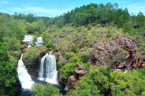 Darwin: Premium Litchfield Regional 11 Hours Tour - Accommodation BNB 5
