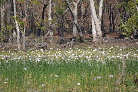Darwin: Premium Litchfield Regional 11 Hours Tour - Accommodation BNB 4
