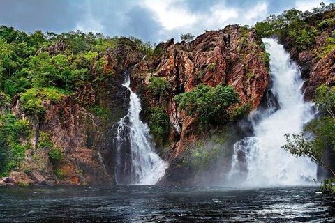 Darwin: Premium Litchfield Regional 11 Hours Tour - Accommodation BNB 0