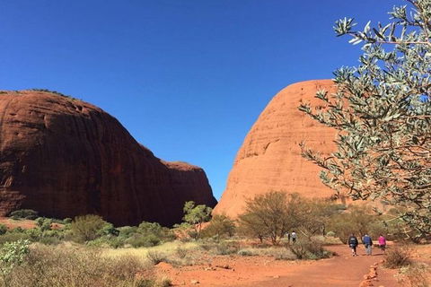5-Hour Kata Tjuta Sunrise Tour From Ayers Rock With Breakfast - Accommodation BNB 2
