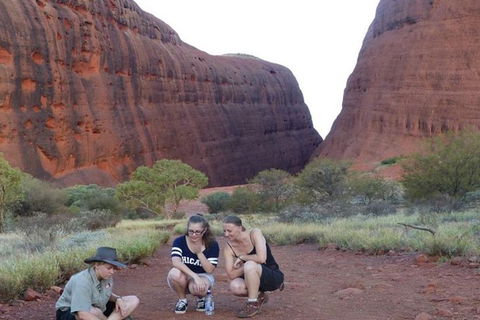 5-Hour Kata Tjuta Sunrise Tour From Ayers Rock With Breakfast - Accommodation BNB 3