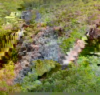 Full-Day Private Guided Tour to Litchfield National Park - Accommodation BNB