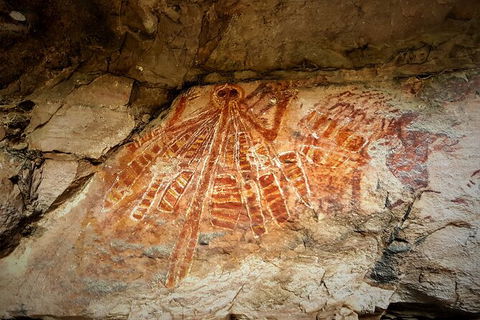 Arnhem Land Injalak Hill Full-Day Tour From Darwin - Accommodation BNB 1