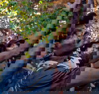 Arnhem Land Injalak Hill Full-Day Tour from Darwin - Accommodation BNB