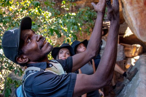 Arnhem Land Injalak Hill Full-Day Tour From Darwin - Accommodation BNB 0