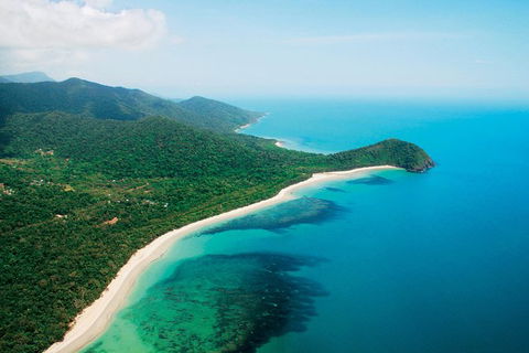 Cape Tribulation, Mossman Gorge, And Daintree Rainforest Premium Day Tour - Accommodation BNB 0