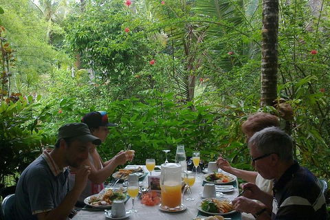 Cape Tribulation, Mossman Gorge, And Daintree Rainforest Premium Day Tour - Accommodation BNB 9