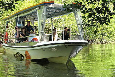 Cape Tribulation, Mossman Gorge, And Daintree Rainforest Premium Day Tour - Accommodation BNB 11