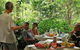 Cape Tribulation, Mossman Gorge, And Daintree Rainforest Premium Day Tour - thumb 6