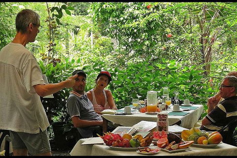Cape Tribulation, Mossman Gorge, And Daintree Rainforest Premium Day Tour - Accommodation BNB 6