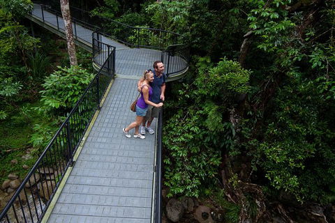 Cape Tribulation, Mossman Gorge, And Daintree Rainforest Premium Day Tour - Accommodation BNB 12