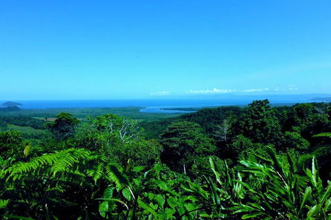 Cape Tribulation, Mossman Gorge, And Daintree Rainforest Premium Day Tour - Accommodation BNB 13