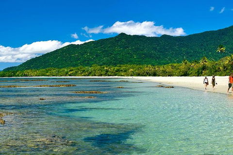 Cape Tribulation, Mossman Gorge, And Daintree Rainforest Premium Day Tour - Accommodation BNB 7