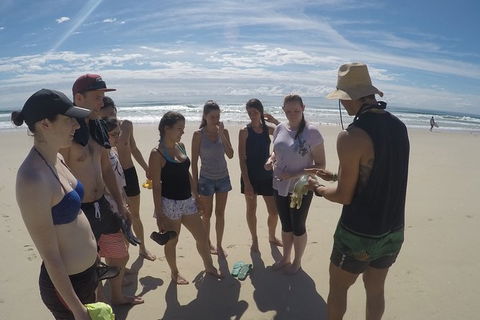 Half Day Dolphin Kayaking And Snorkeling Tour - Accommodation BNB 6
