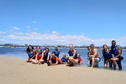Half Day Dolphin Kayaking And Snorkeling Tour - Accommodation BNB 9