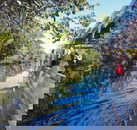 Serenity Cruise to Australia's Everglades - Accommodation BNB