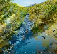 Cruise 'n' Canoe to Australia's Everglades - Accommodation BNB