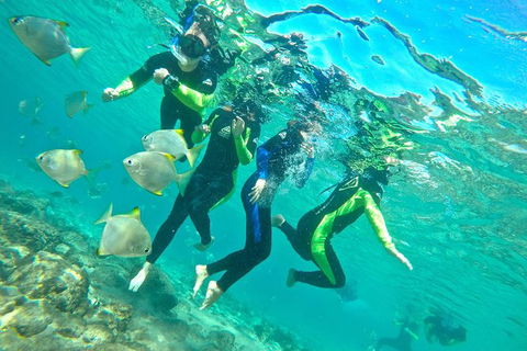 Half-Day Kayak, SUP And Snorkel Tour At Wave Break Island With Lunch - Accommodation BNB 7