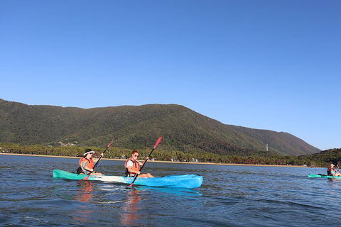 Kayak Turtle Tour From Palm Cove - Accommodation BNB 24