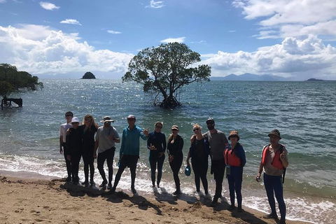 Kayak Turtle Tour From Palm Cove - Accommodation BNB 17