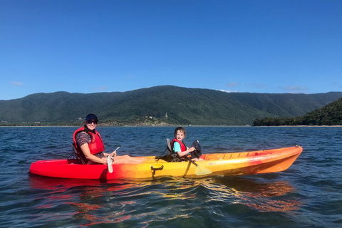 Kayak Turtle Tour From Palm Cove - Accommodation BNB 45