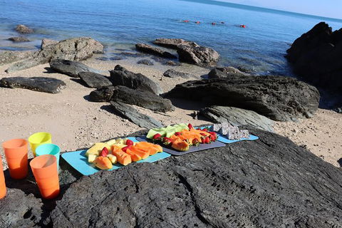 Kayak Turtle Tour From Palm Cove - Accommodation BNB 36