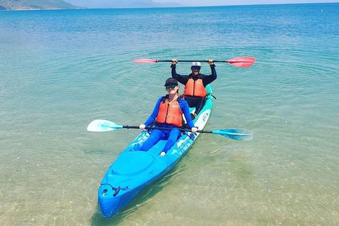 Kayak Turtle Tour From Palm Cove - Accommodation BNB 23