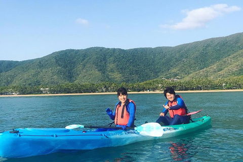 Kayak Turtle Tour From Palm Cove - Accommodation BNB 10