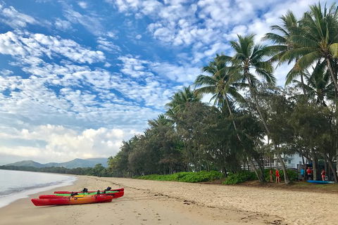 Kayak Turtle Tour From Palm Cove - Accommodation BNB 2