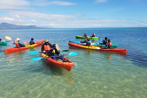 Kayak Turtle Tour From Palm Cove - Accommodation BNB 25