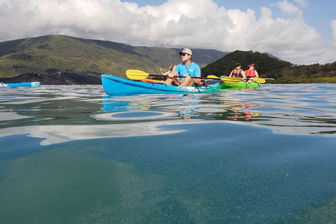 Kayak Turtle Tour From Palm Cove - Accommodation BNB 0