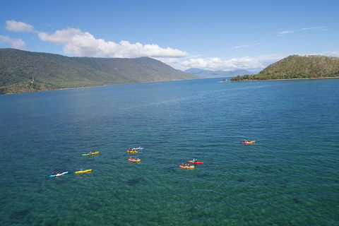 Kayak Turtle Tour From Palm Cove - Accommodation BNB 44