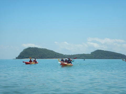 Kayak Turtle Tour From Palm Cove - Accommodation BNB 33