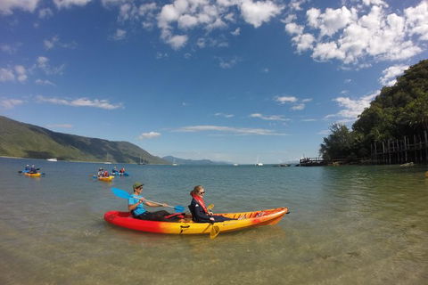Kayak Turtle Tour From Palm Cove - Accommodation BNB 21
