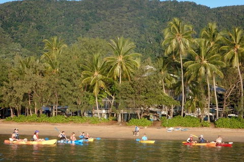 Kayak Turtle Tour From Palm Cove - Accommodation BNB 16
