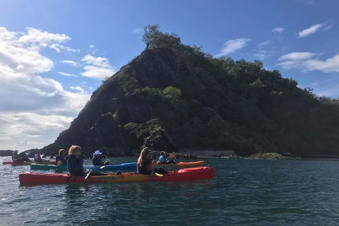 Kayak Turtle Tour From Palm Cove - Accommodation BNB 3