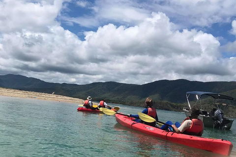 Kayak Turtle Tour From Palm Cove - Accommodation BNB 29