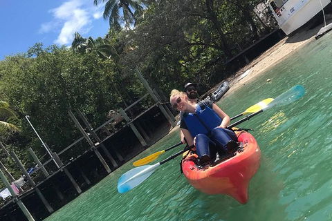 Kayak Turtle Tour From Palm Cove - Accommodation BNB 31