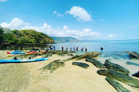 Kayak Turtle Tour From Palm Cove - Accommodation BNB 18