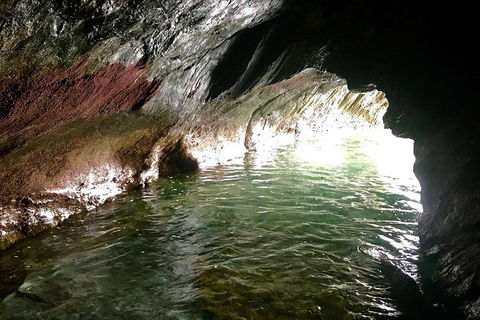 Kayak Turtle Tour From Palm Cove - Accommodation BNB 6