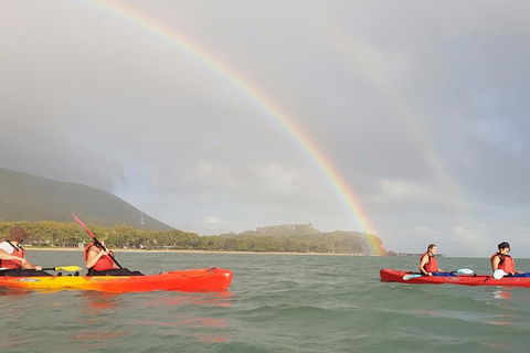 Kayak Turtle Tour From Palm Cove - Accommodation BNB 26