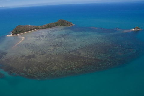 Kayak Turtle Tour From Palm Cove - Accommodation BNB 20