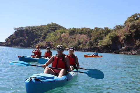 Kayak Turtle Tour From Palm Cove - Accommodation BNB 49